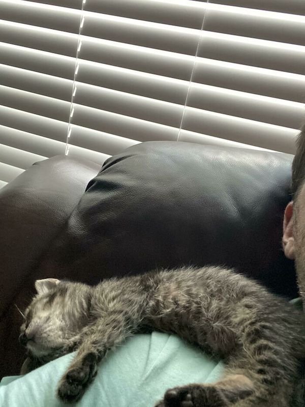 Adopted Pets (25 pics)