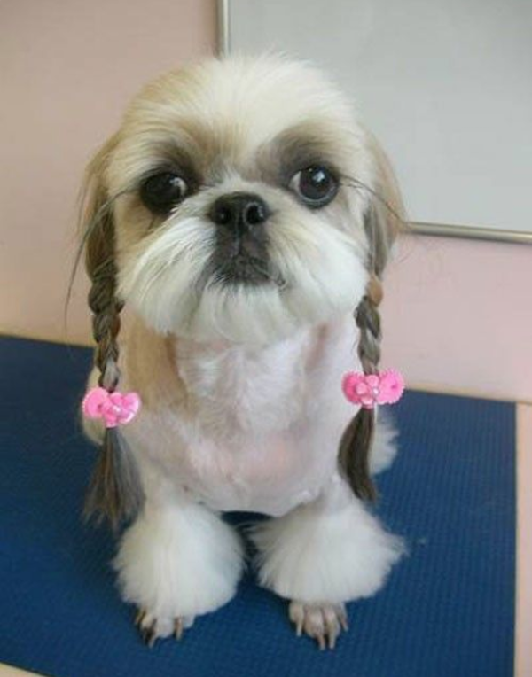 Awful Haircuts (35 pics)