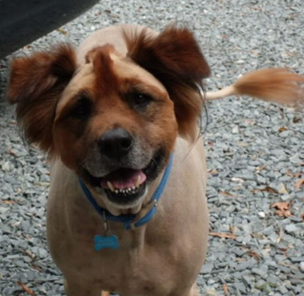 Awful Haircuts (35 pics)
