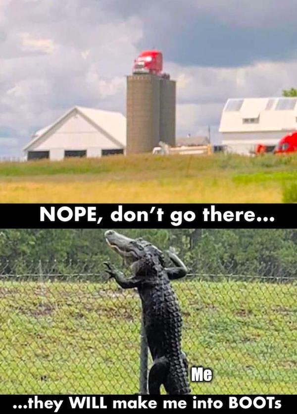 Redneck DIY Crafts (33 pics)