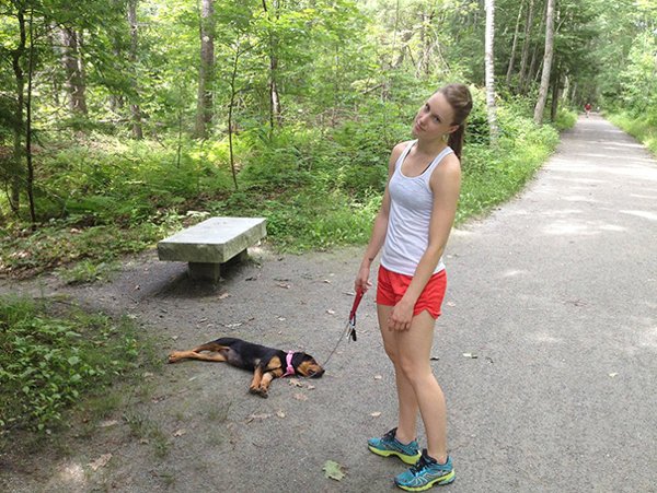 Animals Can Sleep Anywhere (30 pics)