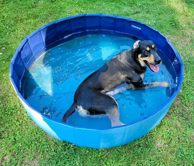 ''Hot'' Past Summer Jokes (21 pics)