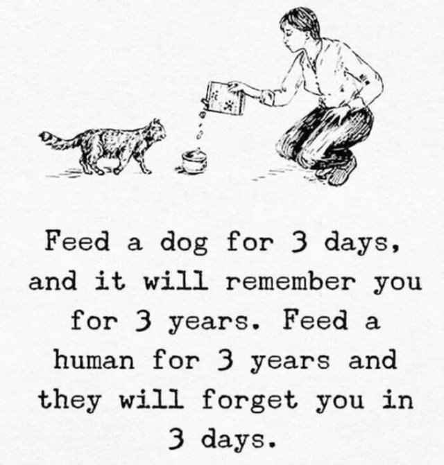 Unusual Thoughts (21 pics)