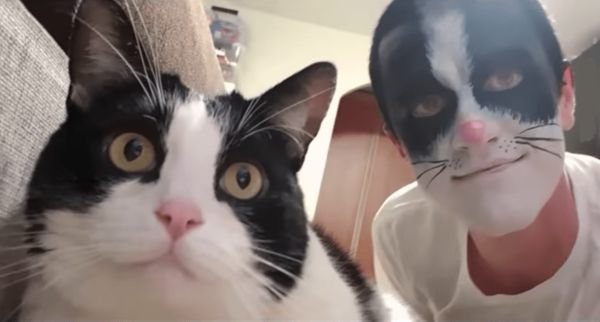 Funny Cats (28 pics)