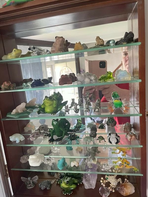 People Share Their Unique Collections (23 pics)