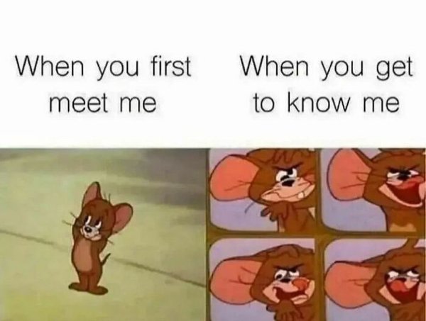 Memes For Introverts (32 pics)