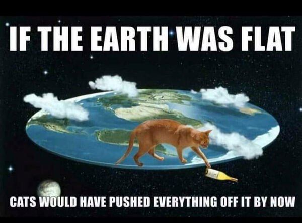 Funny Cats (28 pics)