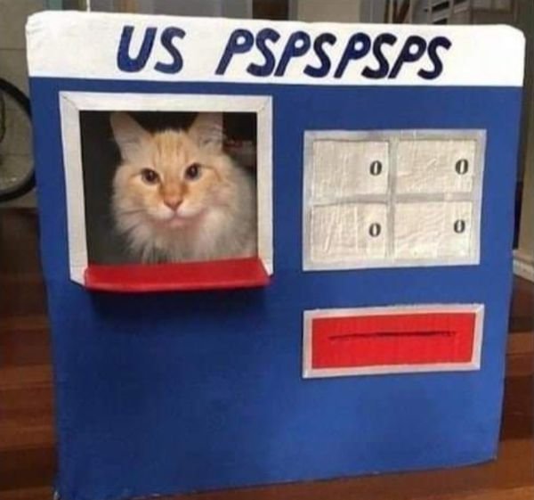 Funny Cats (28 pics)