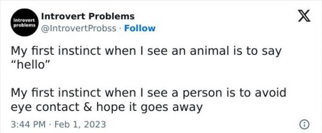 Sarcastic Jokes (25 pics)