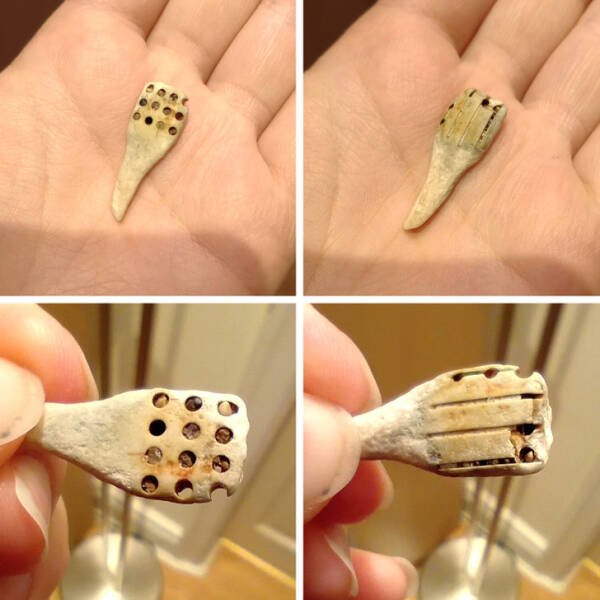 What Are These Things? (19 pics)