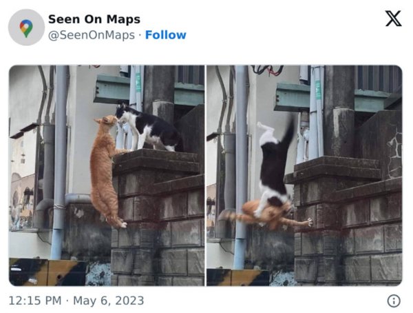 Odd Finds On Google Maps (30 pics)