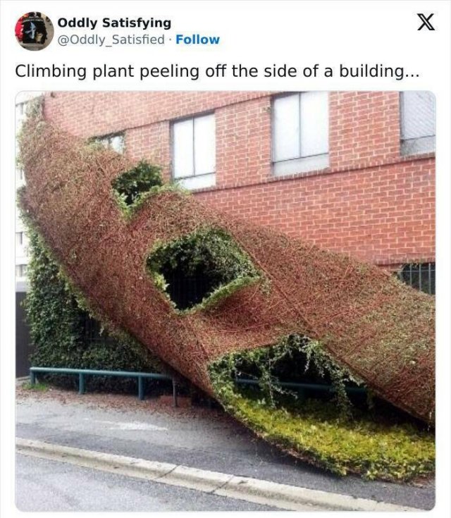 Unusual Finds And Discoveries (20 pics)