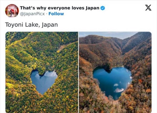 Amazing Photos From Japan (26 pics)