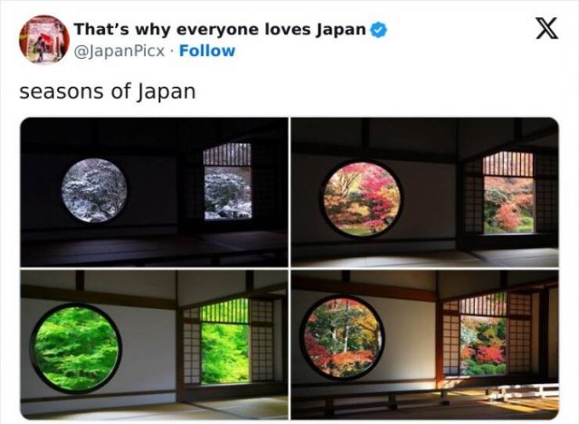 Amazing Photos From Japan (26 pics)