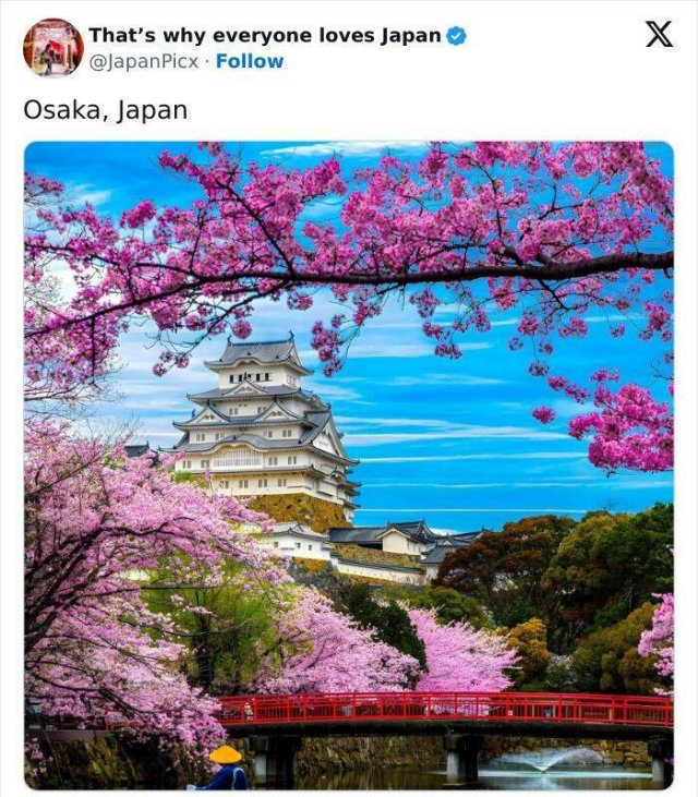 Amazing Photos From Japan (26 pics)