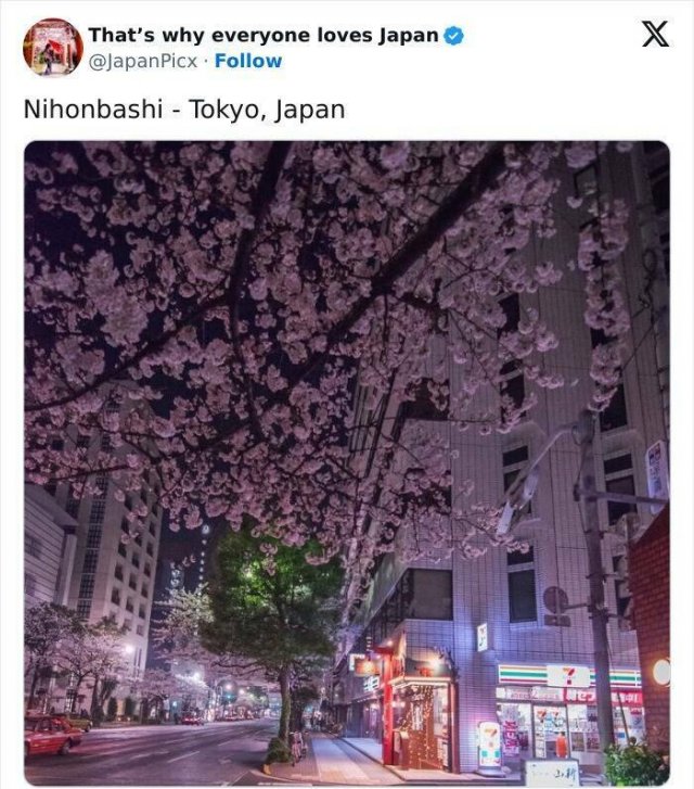 Amazing Photos From Japan (26 pics)