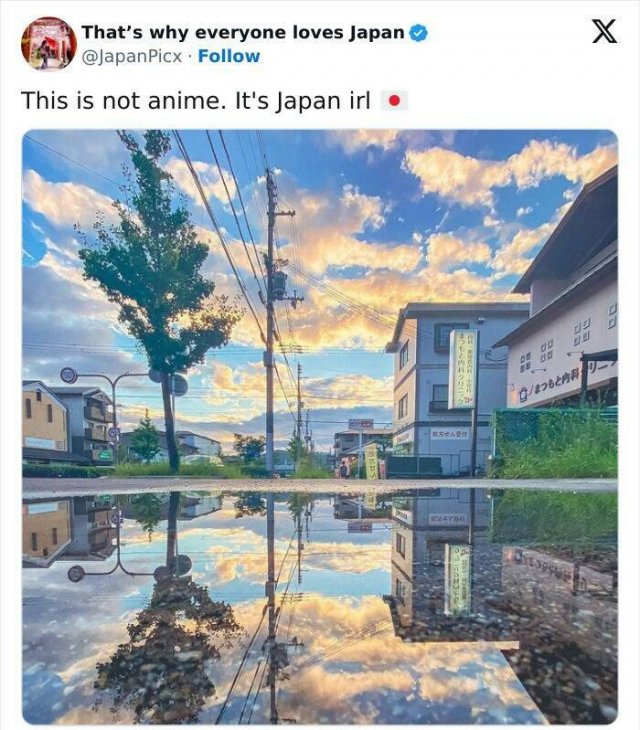 Amazing Photos From Japan (26 pics)