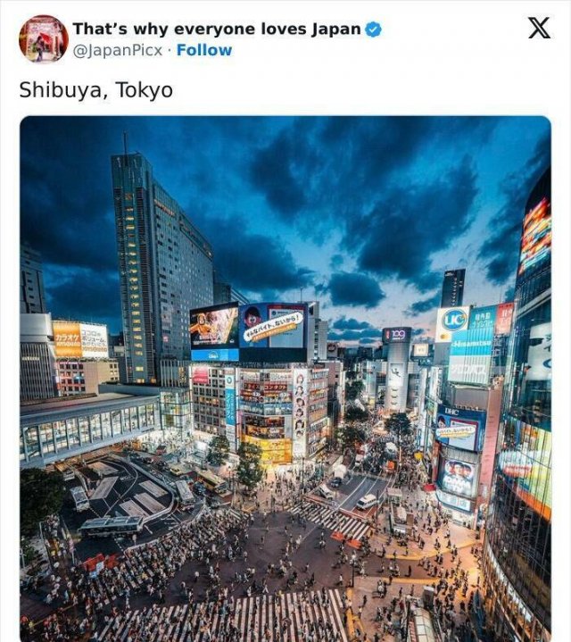 Amazing Photos From Japan (26 pics)