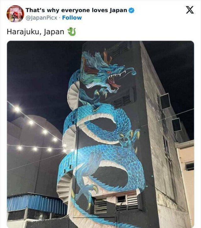Amazing Photos From Japan (26 pics)