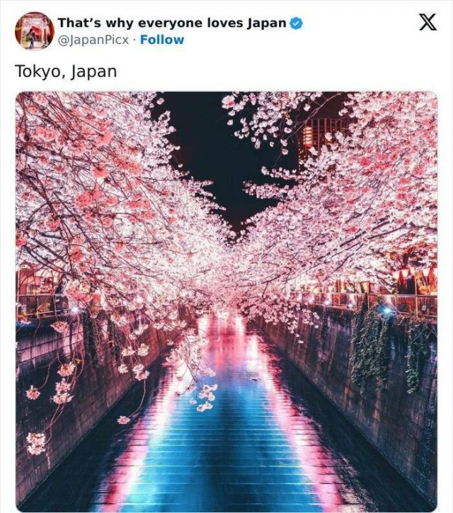 Amazing Photos From Japan (26 pics)