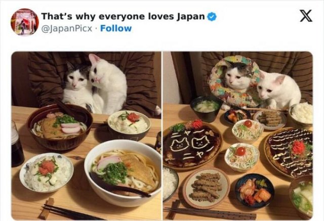 Amazing Photos From Japan (26 pics)