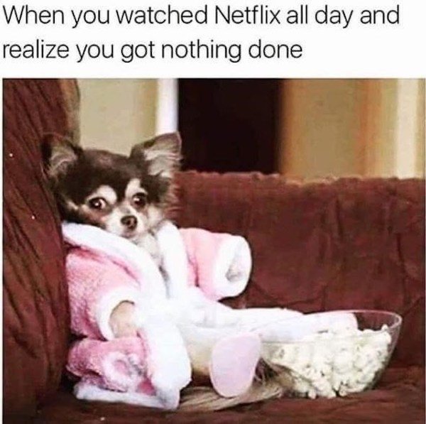 Memes With Dogs (32 pics)