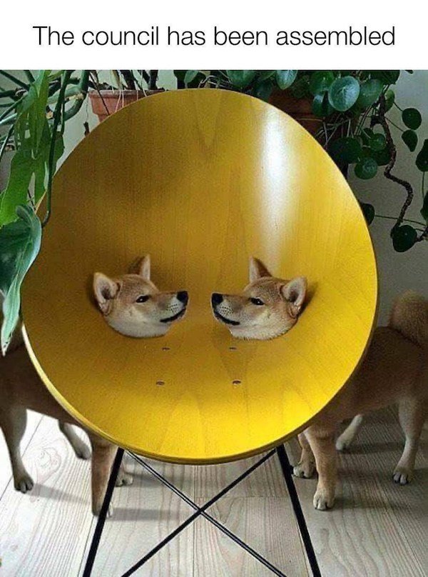 Memes With Dogs (32 pics)