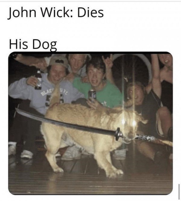 Memes With Dogs (32 pics)