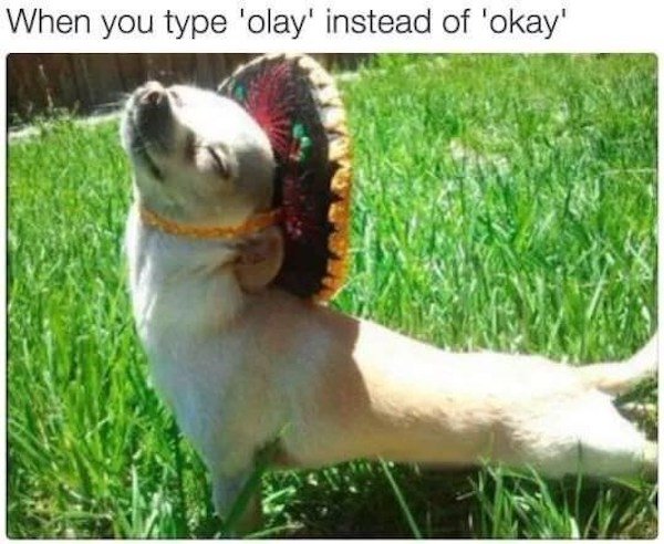 Memes With Dogs (32 pics)