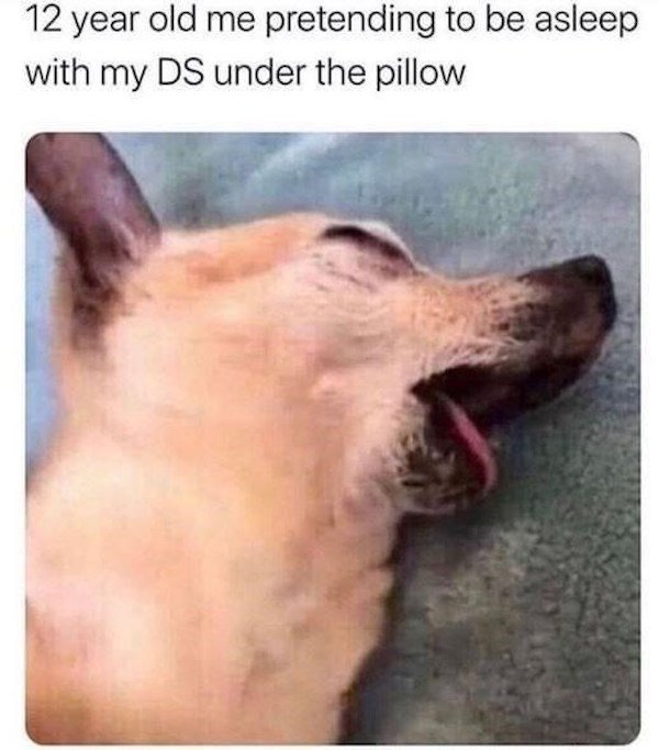 Memes With Dogs (32 pics)