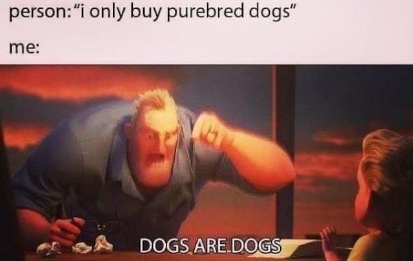 Memes With Dogs (32 pics)