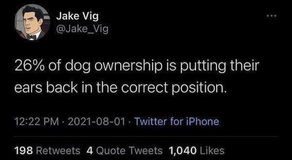 Memes With Dogs (32 pics)