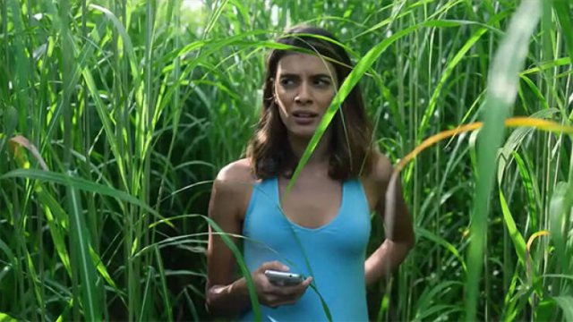 Popular Movies That Some People Don't Like (19 pics)