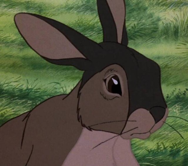 Popular Movies That Some People Don't Like (19 pics)