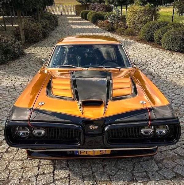 Crazy Cars (44 pics)