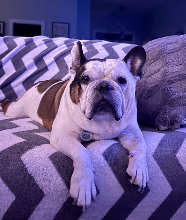 Really Good Boys (35 pics)