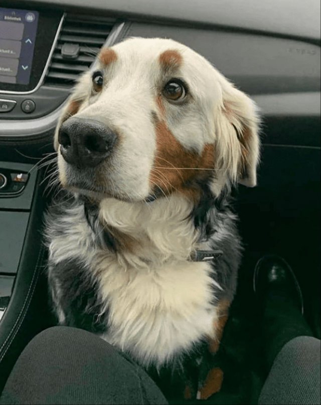Really Good Boys (35 pics)