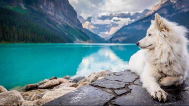 Really Good Boys (35 pics)