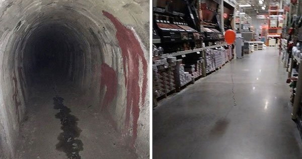 Scary Finds (37 pics)