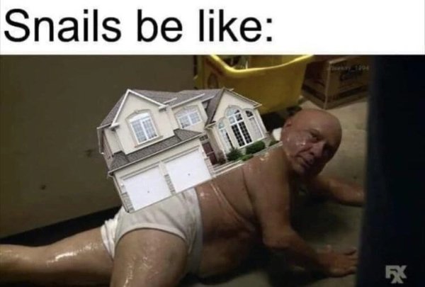 Funny Memes (22 pics)