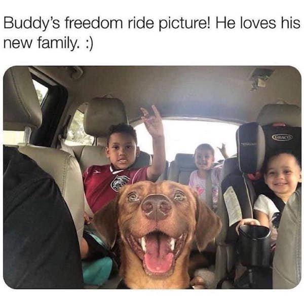 Memes With Good Boys (35 pics)