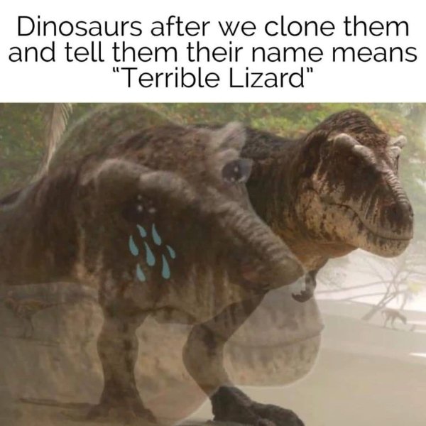 Funny Memes (22 pics)