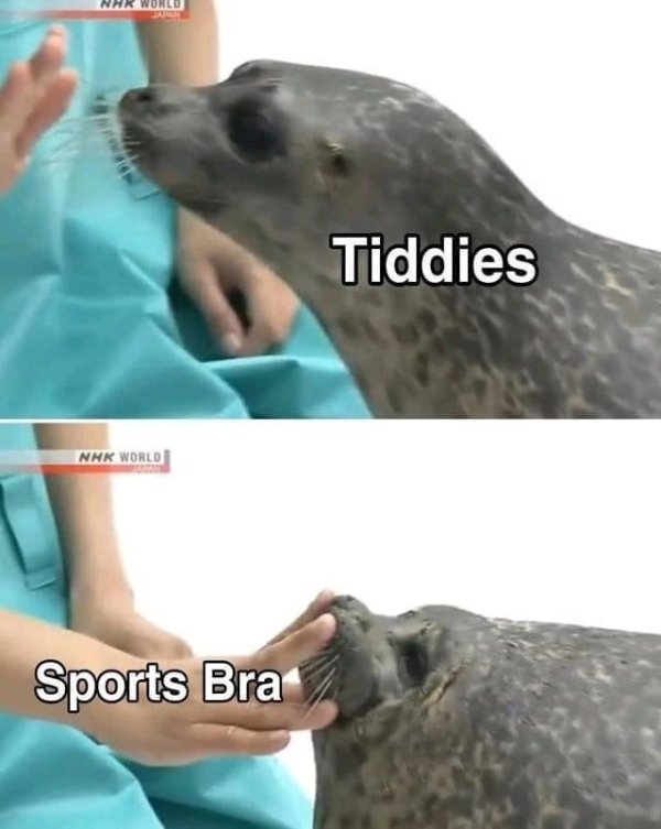 Funny Memes (22 pics)