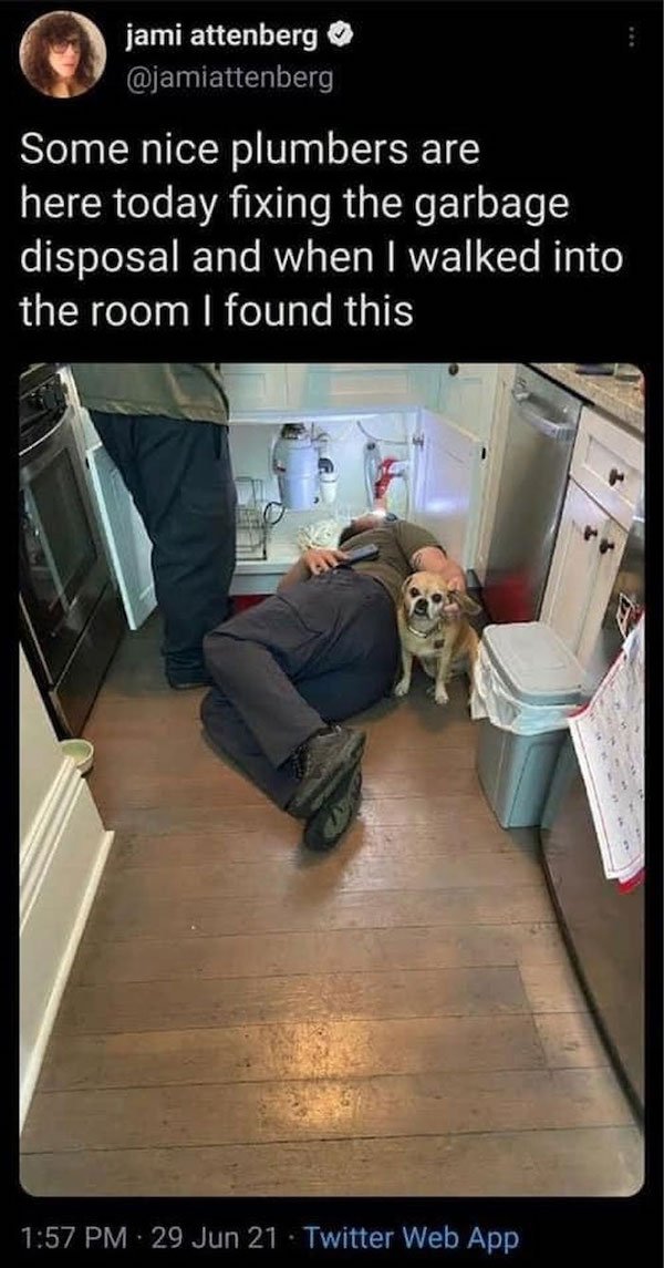 Memes With Good Boys (35 pics)