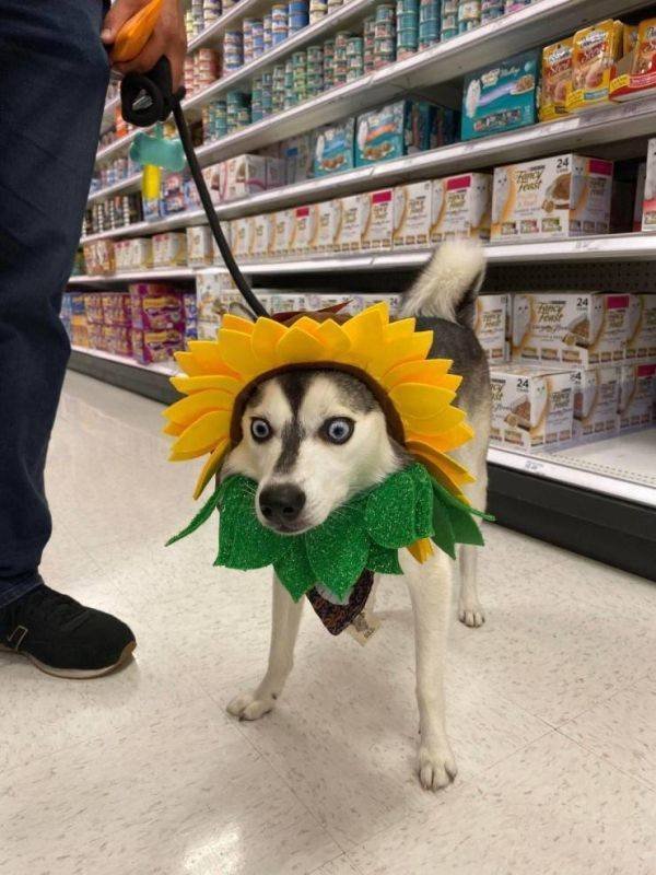 Cute And Funny Animals (51 pics)