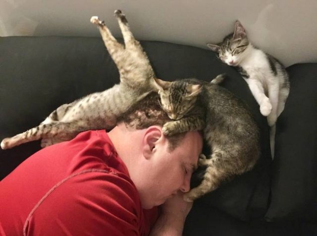 People Share Their Funny Pets (22 pics)