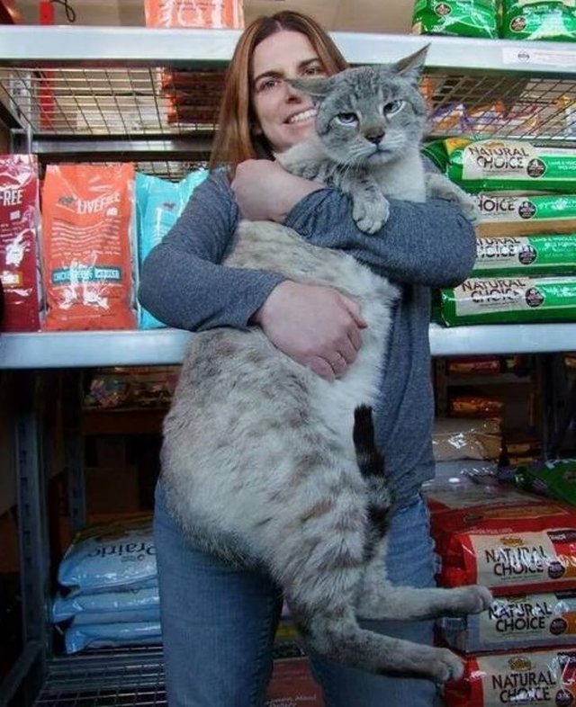 Animals That Amaze With Their Size (24 pics) Animals That Amaze With Their Size (24 pics)
