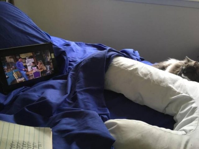 People Share Their Funny Pets (22 pics)