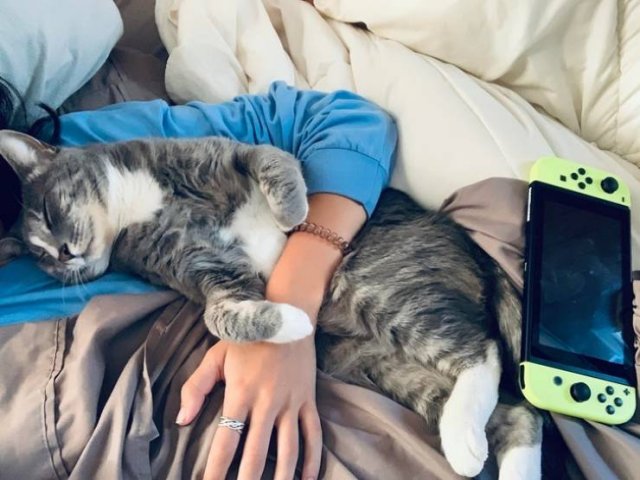 People Share Their Funny Pets (22 pics)