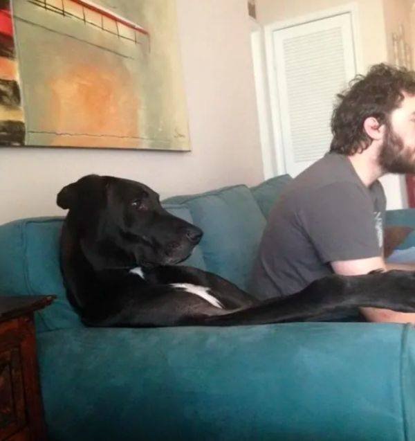 Cute And Funny Animals (51 pics)